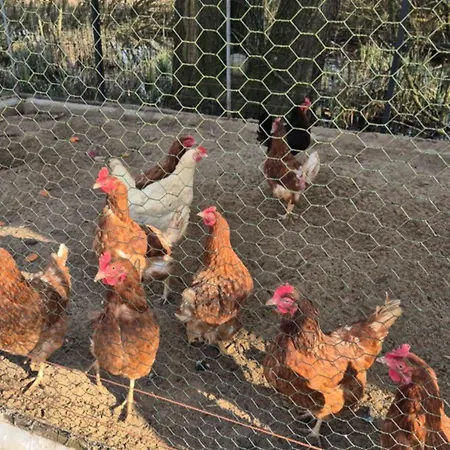 Lubie * Lubieszewo (Drawsko)