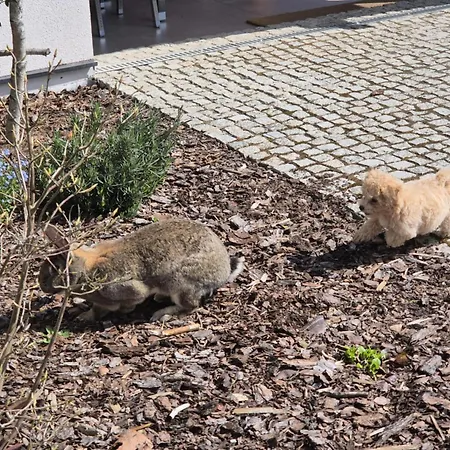 Appartamento Lubie *